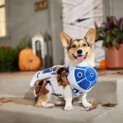 STAR WARS R2-D2 & Jawas Dog & Cat Costume 9 STAR WARS R2-D2 & Jawas Dog & Cat Costume -Pet Care Sales 335262 PT8. AC SS1800 V1657656950