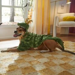 Marvel 's Loki Alligator Dog & Cat Costume 11 Marvel 's Loki Alligator Dog & Cat Costume -Pet Care Sales 335282 PT8. AC SS1800 V1660059836
