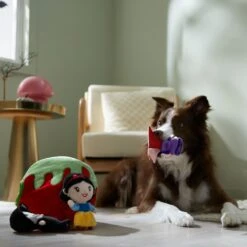 Disney Villains Snow White & The Evil Queen Hide & Seek Puzzle Plush Squeaky Dog Toy 5 Disney Villains Snow White & The Evil Queen Hide & Seek Puzzle Plush Squeaky Dog Toy -Pet Care Sales 344481 PT3. AC SS1800 V1657657087