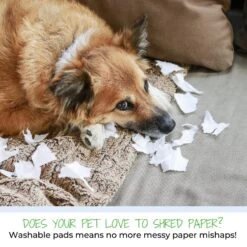 Green Lifestyle Printed Reusable Cat & Dog Pee Pads, Blue & White -Pet Care Sales 344909 PT6. AC SS1800 V1637112428