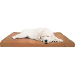 Pet Adobe Foam Covered Dog Bed