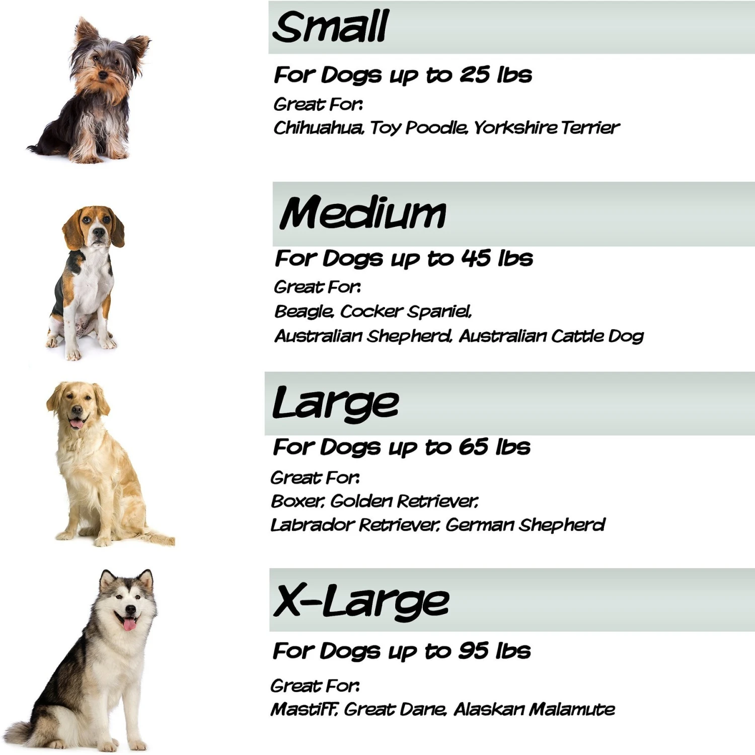 Pet Adobe Foam Covered Dog Bed 5 Pet Adobe Foam Covered Dog Bed - Image 5