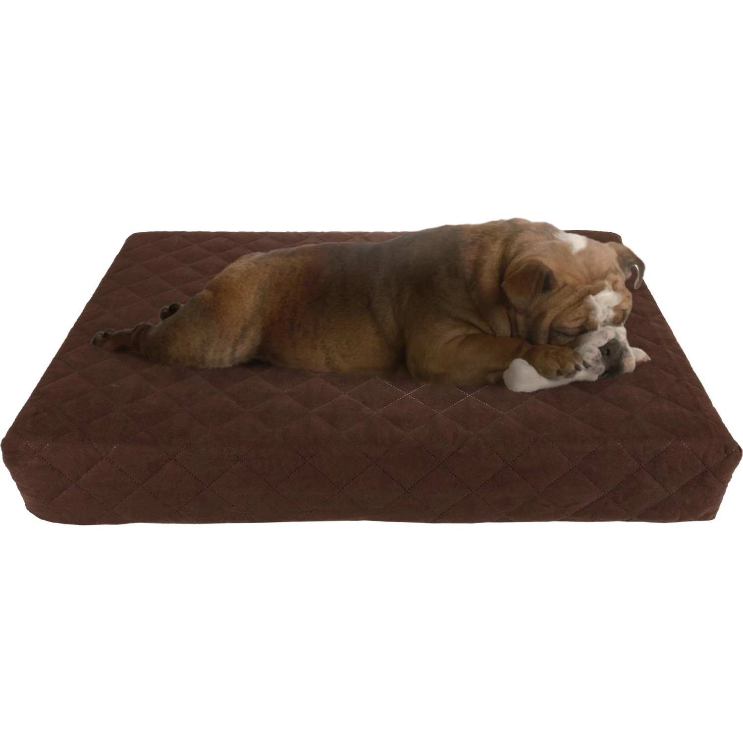 Pet Adobe Memory Foam Waterproof Covered Dog Bed 1 Pet Adobe Memory Foam Waterproof Covered Dog Bed