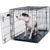 Pet Adobe 2-Door Medium Foldable Dog Crate