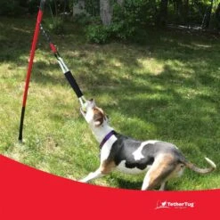 Tether Tug Big Dog Toy 12 Tether Tug Big Dog Toy -Pet Care Sales 345338 PT3. AC SS1800 V1642015019