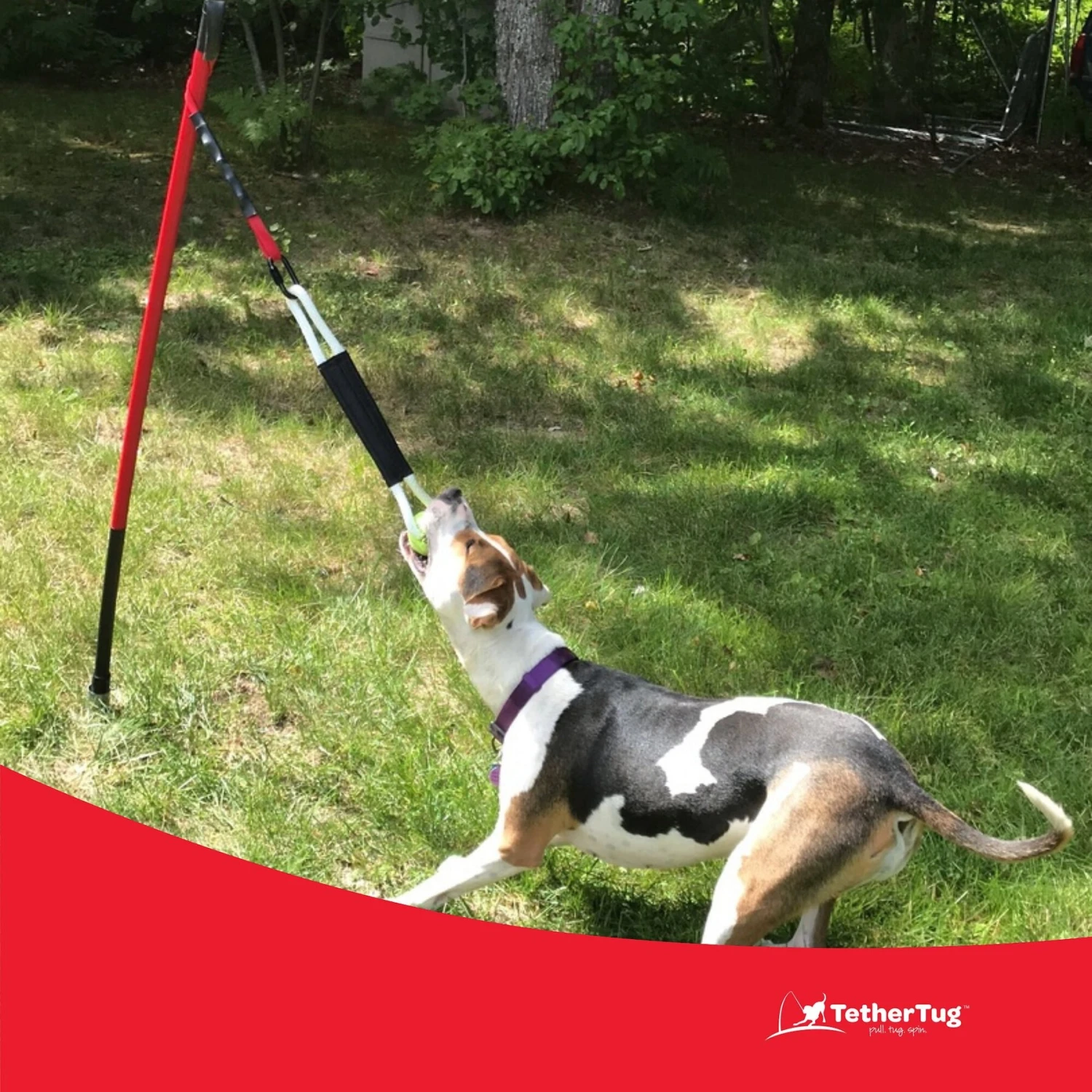 Tether Tug Big Dog Toy 4 Tether Tug Big Dog Toy - Image 4