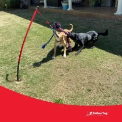Tether Tug Big Dog Toy 13 Tether Tug Big Dog Toy -Pet Care Sales 345338 PT4. AC SS1800 V1642016222