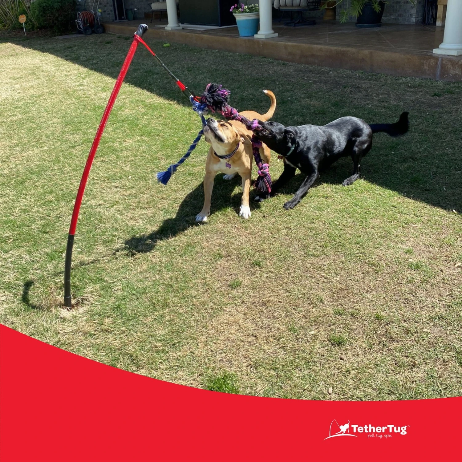 Tether Tug Big Dog Toy 5 Tether Tug Big Dog Toy - Image 5