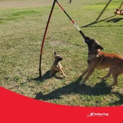 Tether Tug Big Dog Toy 14 Tether Tug Big Dog Toy -Pet Care Sales 345338 PT5. AC SS1800 V1642005088