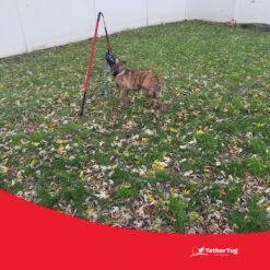 Tether Tug Big Dog Toy 15 Tether Tug Big Dog Toy -Pet Care Sales 345338 PT6. AC SS1800 V1642017406