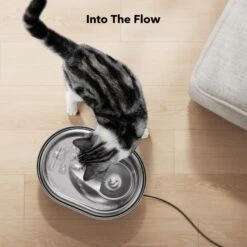 Petlibro Stainless Steel Dog & Cat Water Fountain, 2-L -Pet Care Sales 352550 PT8. AC SS1800 V1689084885