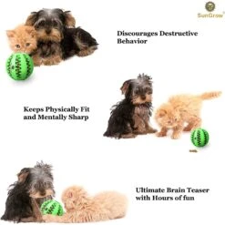 SunGrow Interactive Chew Ball Treat Dispenser Dog & Cat Teething Toy -Pet Care Sales 352931 PT3. AC SS1800 V1639435343