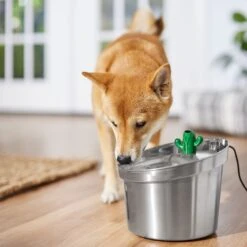 Frisco Stainless Steel Cactus & Leaf Dog & Cat Fountain -Pet Care Sales 355814 PT5. AC SS1800 V1665683869