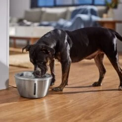 Frisco Stainless Steel Heart Dog & Cat Fountain -Pet Care Sales 355816 PT5. AC SS1800 V1665684540