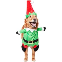 Frisco Front Walking Elf Dog & Cat Costume -Pet Care Sales 357956 PT3. AC SS1800 V1660760416