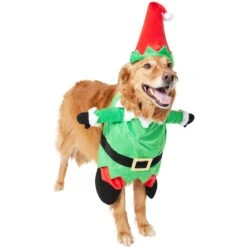Frisco Front Walking Elf Dog & Cat Costume -Pet Care Sales 357956 PT4. AC SS1800 V1660757458