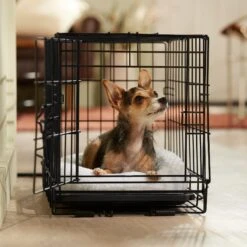 Frisco Adjustable Electrical Dog & Cat Heated Crate Mat With Timer 12 Frisco Adjustable Electrical Dog & Cat Heated Crate Mat With Timer -Pet Care Sales 358546 PT5. AC SS1800 V1662500981