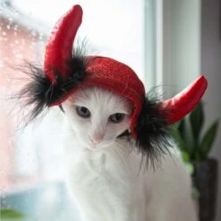 Pet Krewe Cat Devil Red Hat Dog Costume, One Size 13 Pet Krewe Cat Devil Red Hat Dog Costume, One Size -Pet Care Sales 361138 PT6. AC SS1800 V1648076522