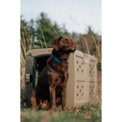 Dakota 283 G3 Framed Door Dog Kennel -Pet Care Sales 361542 PT3. AC SS1800 V1652768192