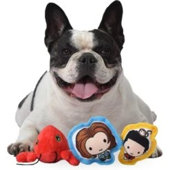 Fetch For Pets Friends V-Day "You're My Lobster" Squeaky Dog Toy, 3 Count -Pet Care Sales 362987 PT3. AC SS1800 V1643061841