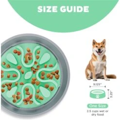 Outward Hound Fun Feeder Wobble Slo-Bowl Dog Bowl, Mint -Pet Care Sales 363002 PT4. AC SS1800 V1694287423
