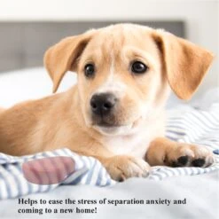 Pet Fit For Life Calming Dog Heartbeat Unit, Red, Small -Pet Care Sales 363335 PT4. AC SS1800 V1642776090