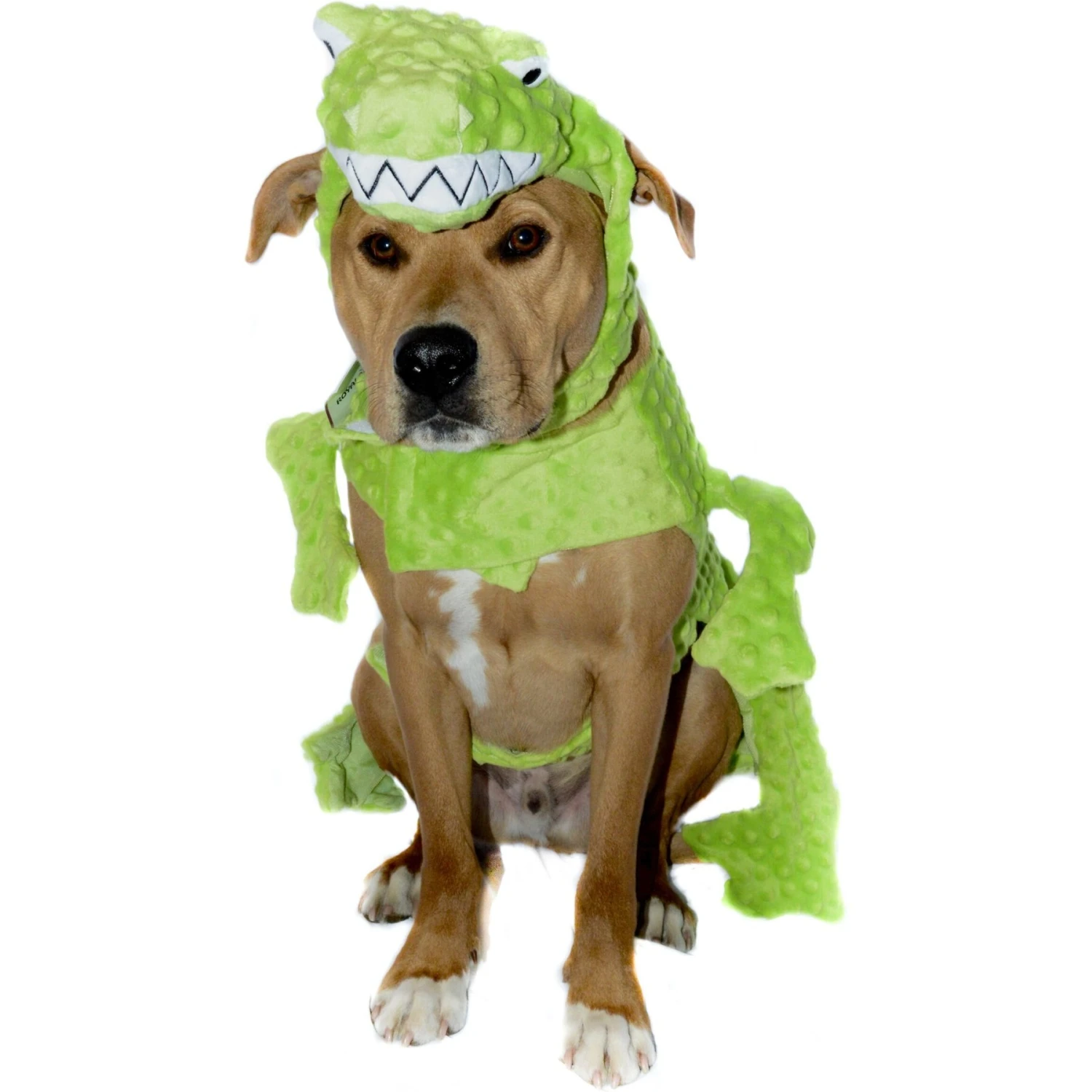 Royal Animals Dragon Dog Costume 2 Royal Animals Dragon Dog Costume - Image 2