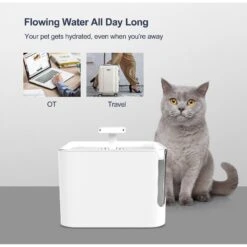 Petdiary Automatic Cat Water Fountain, White, Medium -Pet Care Sales 364529 PT6. AC SS1800 V1646699191