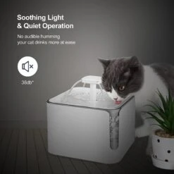 Petdiary Automatic Cat Water Fountain, White, Medium -Pet Care Sales 364529 PT7. AC SS1800 V1646700510