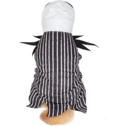 Fetch For Pets Disney Halloween Nightmare Before Christmas Jack Skellington Dog Costume -Pet Care Sales 364742 PT2. AC SS1800 V1659807504