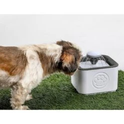 PawPerfect Cat & Dog Water Fountain, White -Pet Care Sales 365301 PT3. AC SS1800 V1644875801