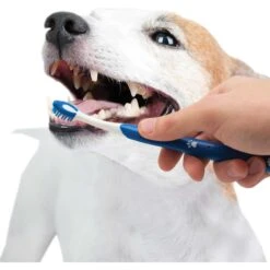 Nylabone Advanced Oral Care Original Flavor Puppy Dental Kit & N-Bone Puppy Teething Ring Chicken Flavor Dog Treats -Pet Care Sales 365513 PT4. AC SS1800 V1644017256