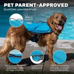 Outward Hound Dawson Swim Dog Life Jacket 10 Outward Hound Dawson Swim Dog Life Jacket -Pet Care Sales 367143 PT4. AC SS1800 V1645225616