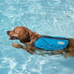 Outward Hound Dawson Swim Dog Life Jacket 11 Outward Hound Dawson Swim Dog Life Jacket -Pet Care Sales 367143 PT5. AC SS1800 V1645229790
