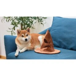 Fetch For Pets Harry Potter House Sorting Hat Burrow Dog Toy 16 Fetch For Pets Harry Potter House Sorting Hat Burrow Dog Toy -Pet Care Sales 367779 PT7. AC SS1800 V1645220798