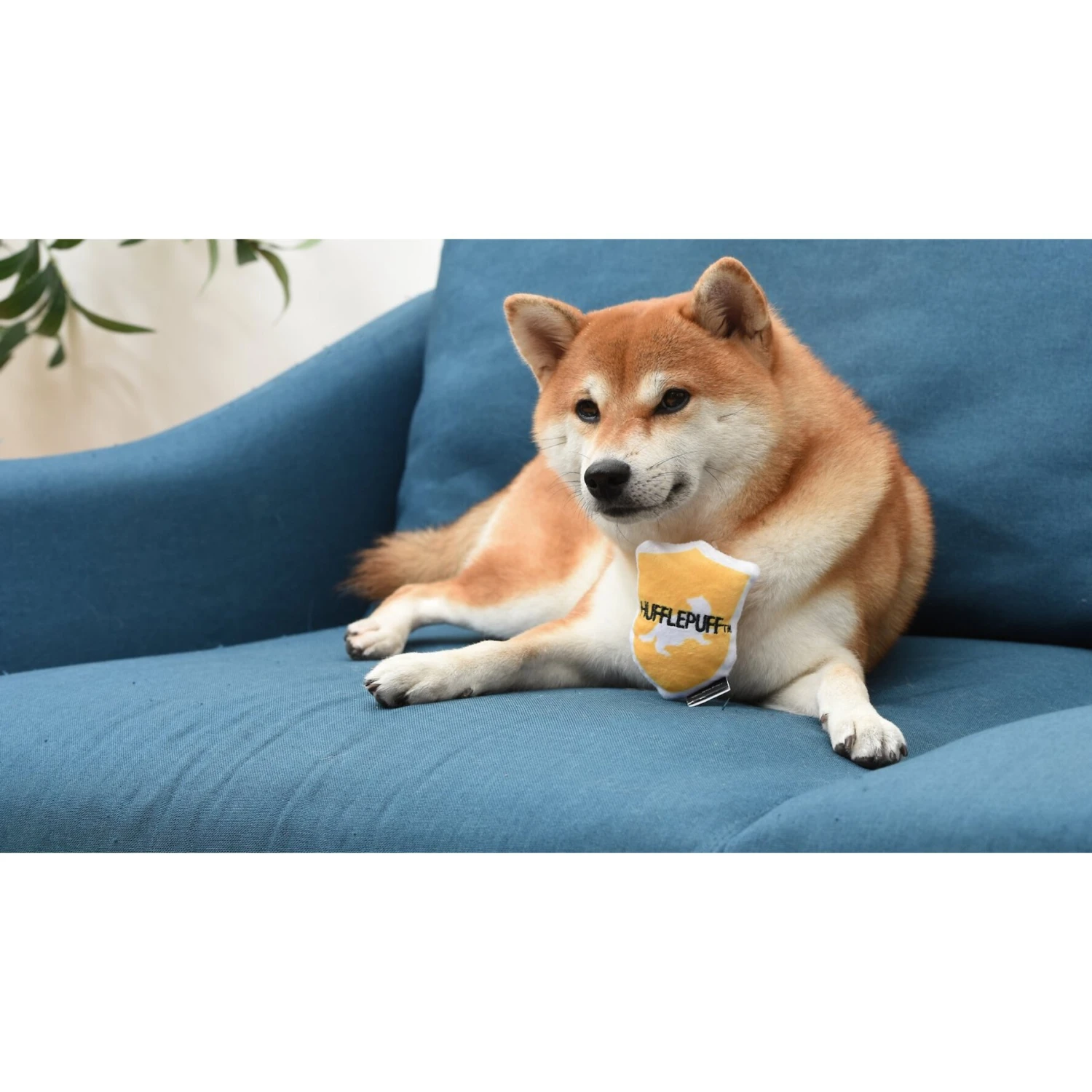 Fetch For Pets Harry Potter House Sorting Hat Burrow Dog Toy 9 Fetch For Pets Harry Potter House Sorting Hat Burrow Dog Toy - Image 9