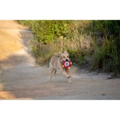 Fetch For Pets Harry Potter 9 3/4 Platform Frisbee Dog Toy -Pet Care Sales 367785 PT3. AC SS1800 V1645221773