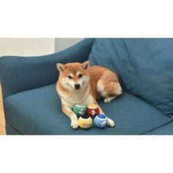 Fetch For Pets Harry Potter 4PK Hogwarts Pride Tennis Ball Dog Toy -Pet Care Sales 367787 PT6. AC SS1800 V1645230706