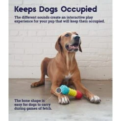 Petstages Multi-Squeak Bone Dog Chew Toy -Pet Care Sales 367946 PT3. AC SS1800 V1644525450