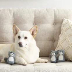 Outward Hound Squeakin' Racoon Hide A Puzzle Plush Dog Toy, 3 Count 10 Outward Hound Squeakin' Racoon Hide A Puzzle Plush Dog Toy, 3 Count -Pet Care Sales 368192 PT4. AC SS1800 V1644523408