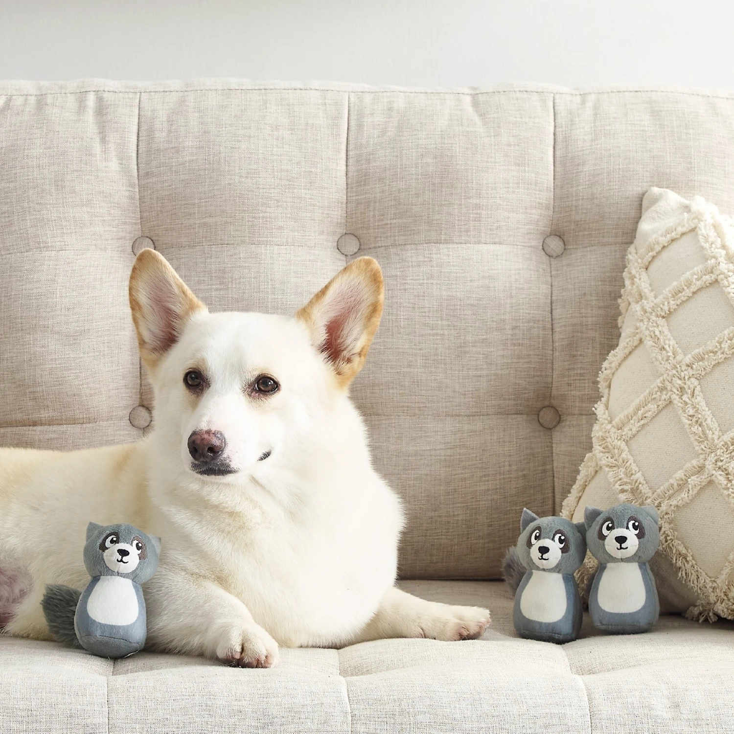 Outward Hound Squeakin' Racoon Hide A Puzzle Plush Dog Toy, 3 Count 5 Outward Hound Squeakin' Racoon Hide A Puzzle Plush Dog Toy, 3 Count - Image 5