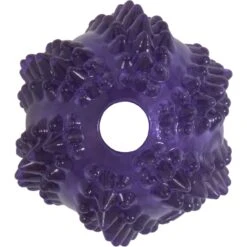 JW Pet Bristly Cactus Ball Dog Toy, Purple -Pet Care Sales 369096 PT2. AC SS1800 V1646668892