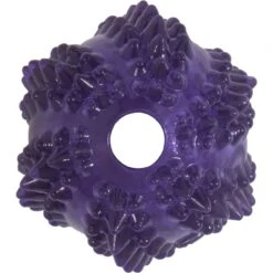 JW Pet Bristly Cactus Ball Dog Toy, Purple -Pet Care Sales 369096 PT3. AC SS1800 V1646701988