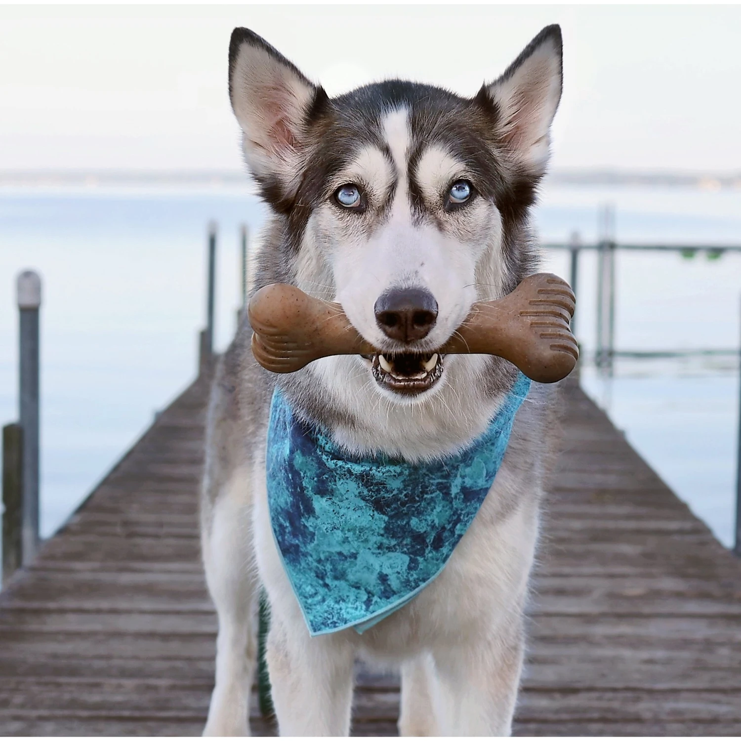 Lumabone Bulkster Beef Flavor Dog Toy 2 Lumabone Bulkster Beef Flavor Dog Toy - Image 2