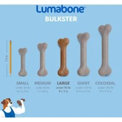 Lumabone Bulkster Beef Flavor Dog Toy 11 Lumabone Bulkster Beef Flavor Dog Toy -Pet Care Sales 370204 PT5. AC SS1800 V1646765525