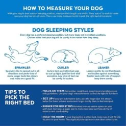 Disney Mickey Mouse Bolster Cat & Dog Bed & Disney Pluto Pillow Cat & Dog Bed -Pet Care Sales 370378 PT3. AC SS1800 V1645808530