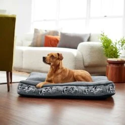 Disney Mickey Mouse Bolster Cat & Dog Bed & Disney Pluto Pillow Cat & Dog Bed -Pet Care Sales 370378 PT8. AC SS1800 V1645808515