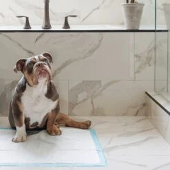 Four Paws Wee-Wee Superior Performance Dog Pee Pads, 14 Count -Pet Care Sales 49141 PT2. AC SS1800 V1627947371