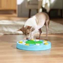 Frisco Seek & Discover Interactive Puzzle Dog Toy, Moderate -Pet Care Sales 506250 PT5. AC SS1800 V1674664929