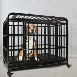 SMONTER Heavy Duty Metal Indoor & Outdoor Medium & Large Breed Dog Crate, Dark Silver 15 SMONTER Heavy Duty Metal Indoor & Outdoor Medium & Large Breed Dog Crate, Dark Silver -Pet Care Sales 517246 PT7. AC SS1800 V1657658362